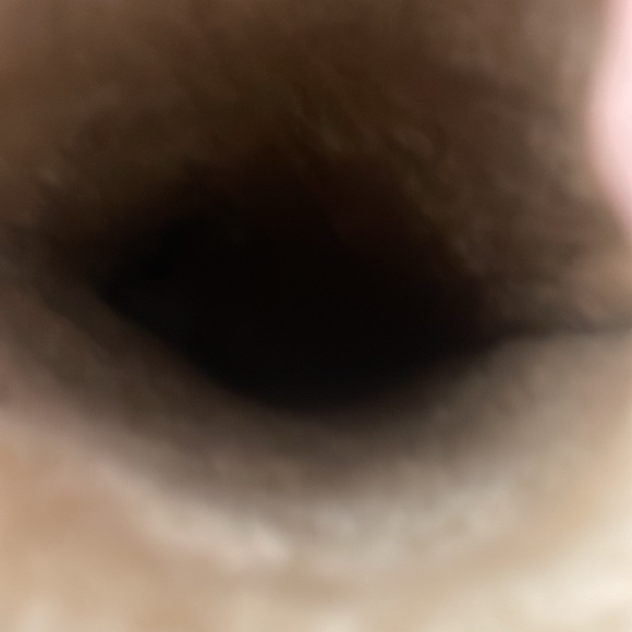 Ugg brand suede and faux fur gloves - Picture 6 of 6